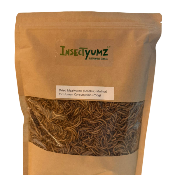 Mealworms | The Original Flavor! |  250gram