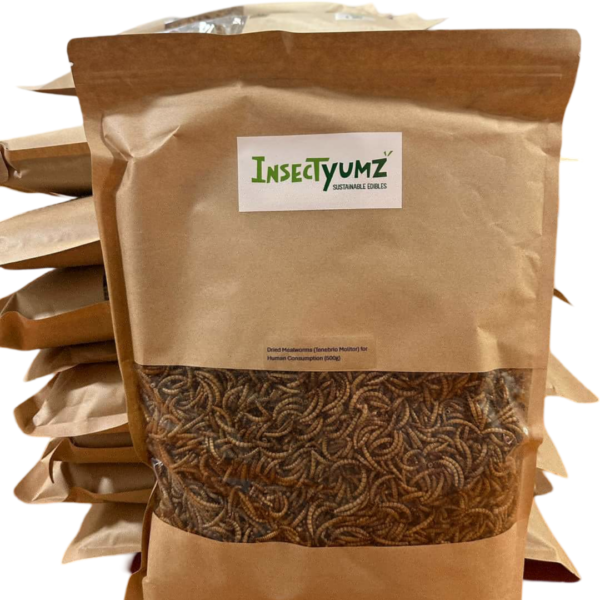 Mealworms | The Original Flavor! |  100gram